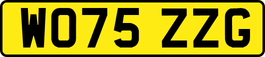 WO75ZZG