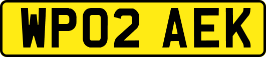 WP02AEK