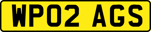 WP02AGS