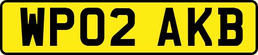 WP02AKB