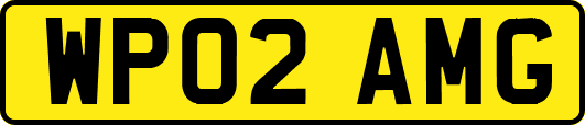 WP02AMG