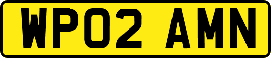 WP02AMN