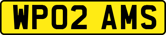 WP02AMS
