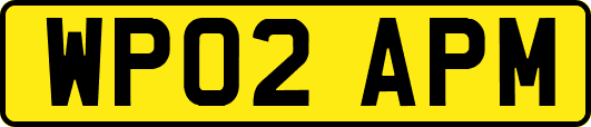 WP02APM