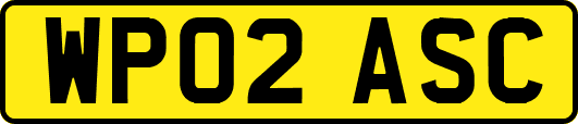 WP02ASC