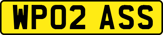WP02ASS