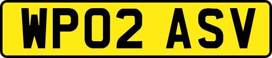 WP02ASV