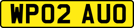 WP02AUO