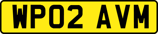WP02AVM