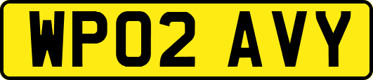 WP02AVY