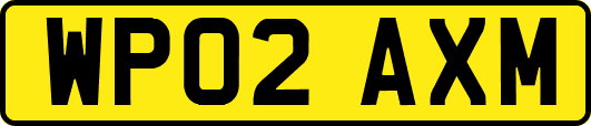 WP02AXM