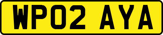 WP02AYA