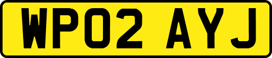 WP02AYJ
