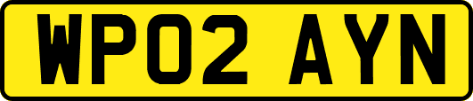 WP02AYN
