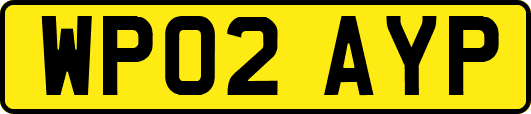 WP02AYP