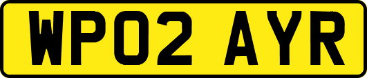 WP02AYR