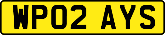 WP02AYS
