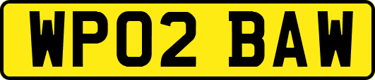 WP02BAW