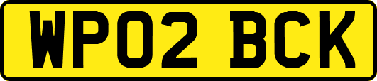 WP02BCK