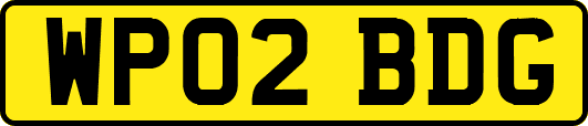 WP02BDG