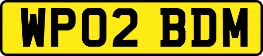 WP02BDM