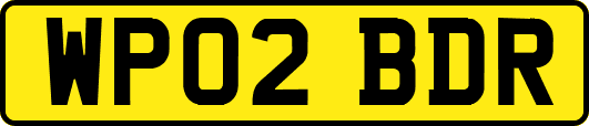 WP02BDR