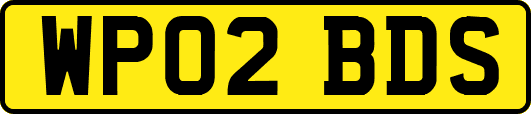 WP02BDS
