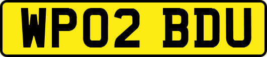 WP02BDU