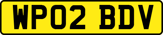 WP02BDV