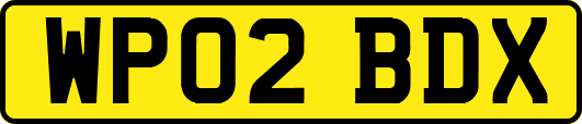 WP02BDX