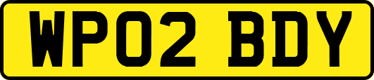 WP02BDY