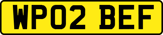 WP02BEF