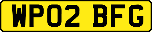 WP02BFG