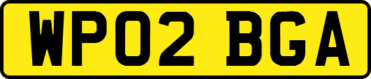 WP02BGA