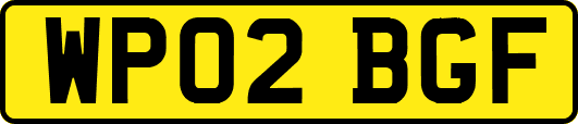 WP02BGF
