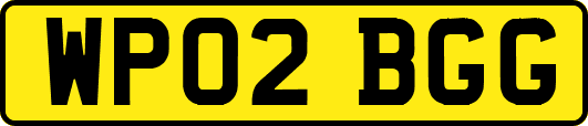 WP02BGG