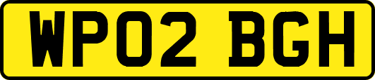 WP02BGH