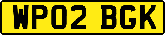 WP02BGK