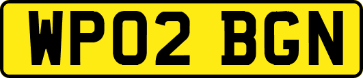 WP02BGN
