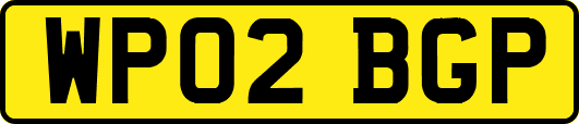 WP02BGP