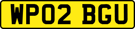 WP02BGU
