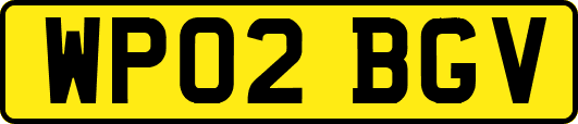 WP02BGV
