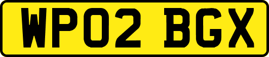 WP02BGX