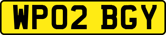 WP02BGY