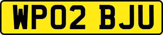 WP02BJU