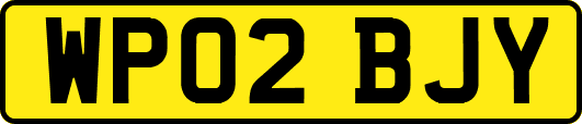 WP02BJY