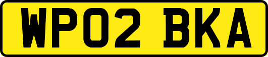 WP02BKA