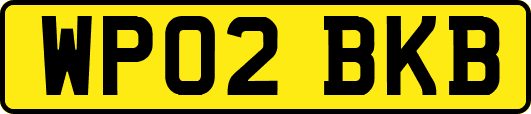 WP02BKB