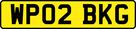 WP02BKG
