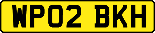 WP02BKH